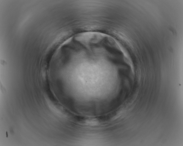 X0000090630214200708071252