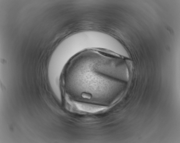 X0000090630215200708071252