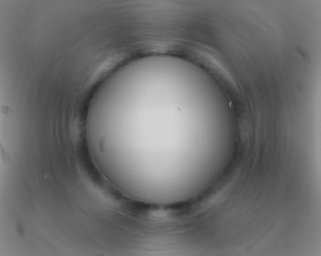 X0000090630216200708071252