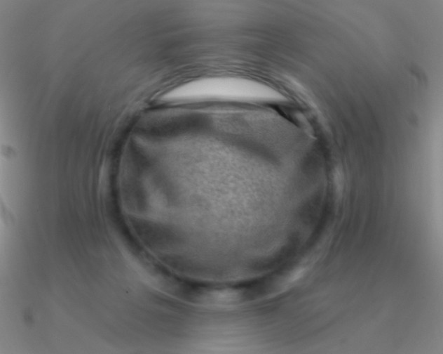 X0000090630217200708071252