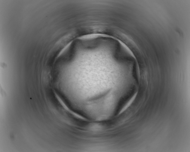 X0000090630218200708071252