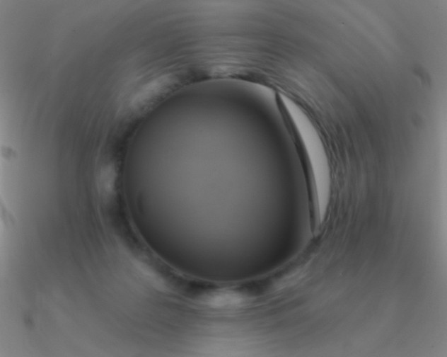 X0000090630219200708071252