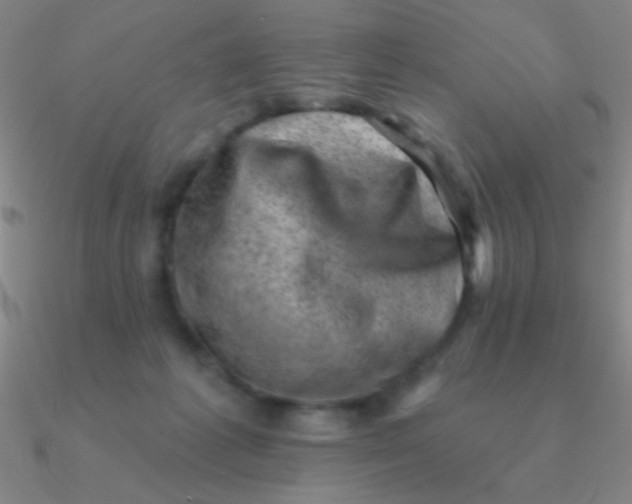 X0000090630221200708071252