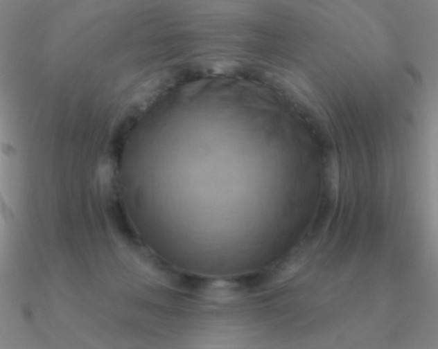 X0000090630222200708071252