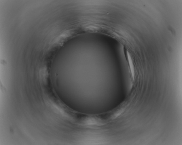 X0000090630223200708071252