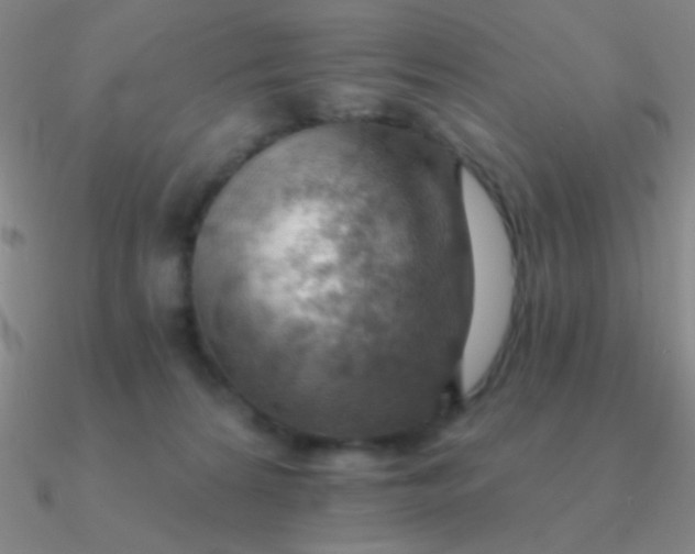 X0000090630224200708071252