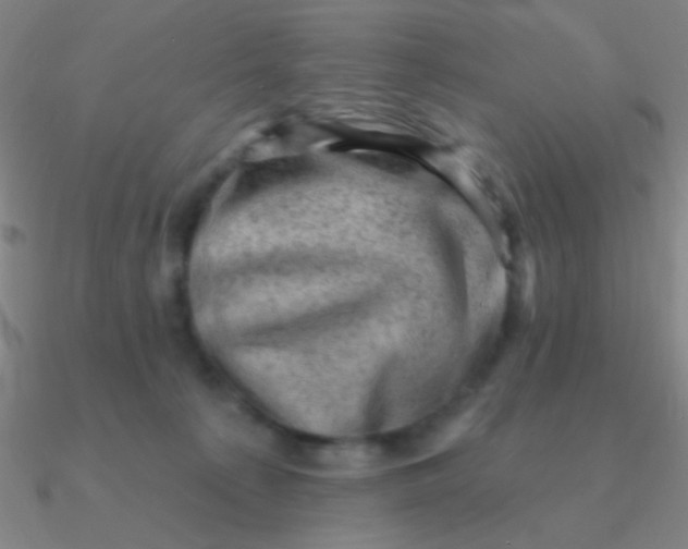 X0000090630225200708071252