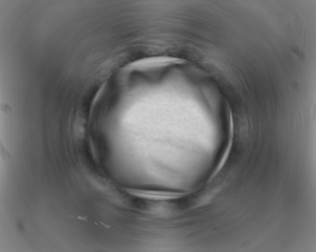 X0000090630226200708071252