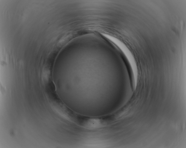 X0000090630227200708071252