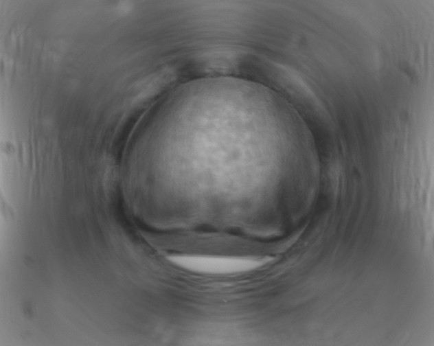 X0000090630228200708071252