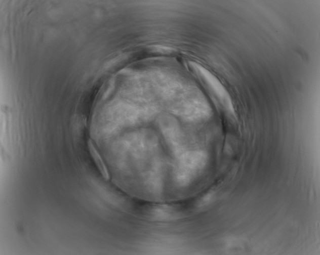 X0000090630229200708071252