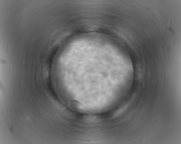 X0000090630230200708071252