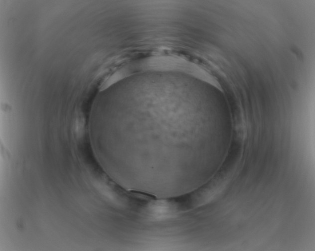 X0000090630231200708071252