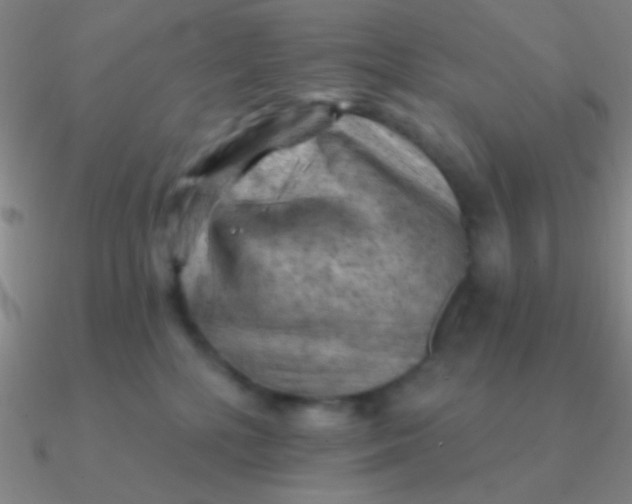 X0000090630232200708071252