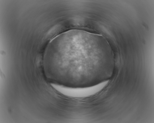 X0000090630233200708071252