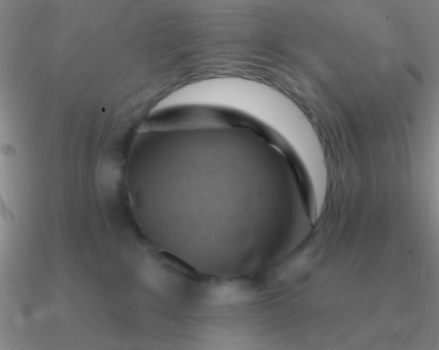 X0000090630235200708071252