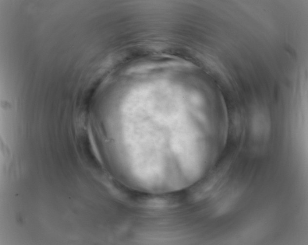 X0000090630236200708071252