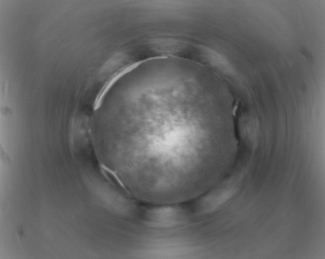 X0000090630237200708071252