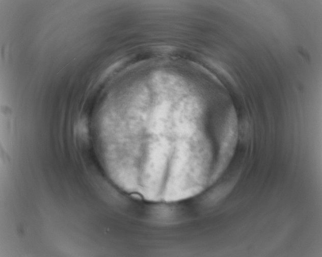 X0000090630238200708071252