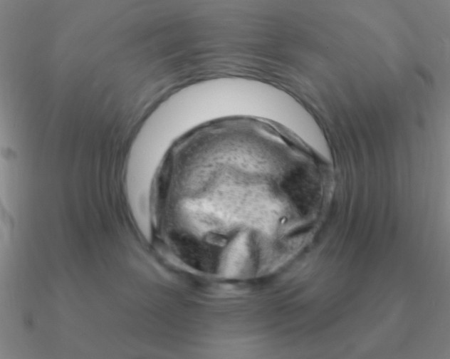 X0000090630239200708071252