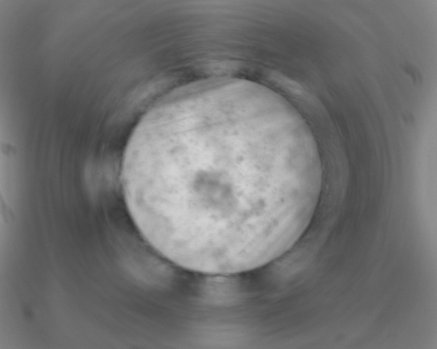 X0000090630240200708071252