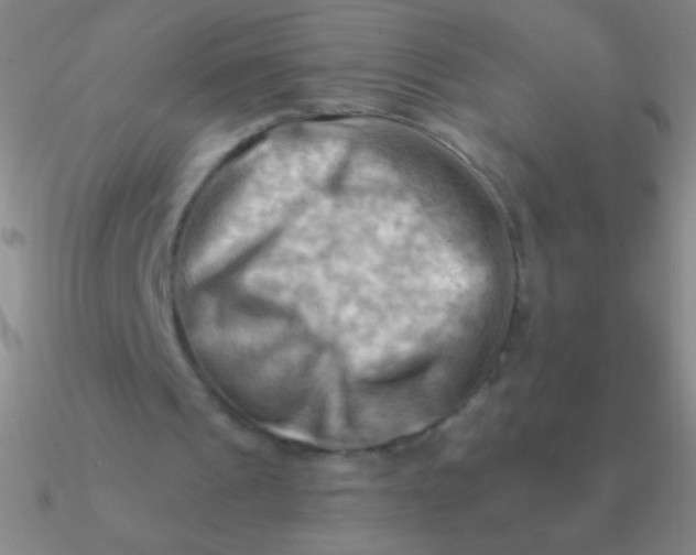 X0000090630241200708071251