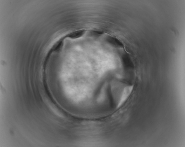 X0000090630242200708071251