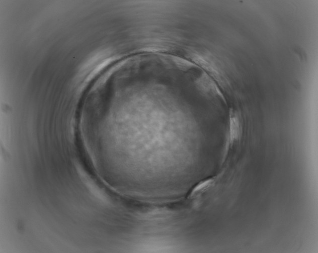 X0000090630243200708071251