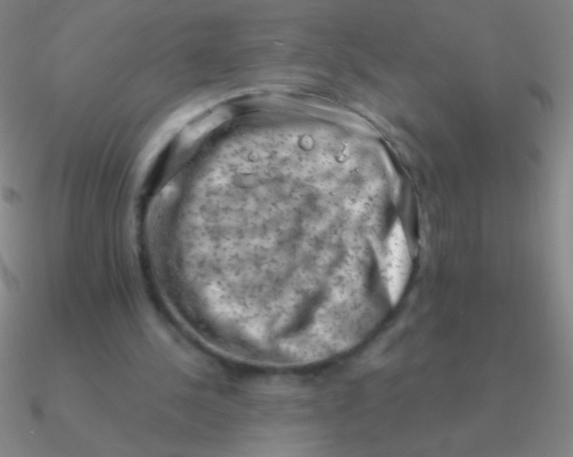 X0000090630244200708071251