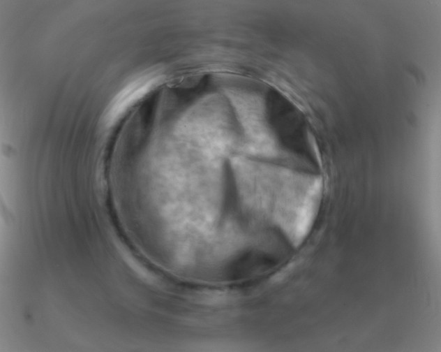 X0000090630245200708071251