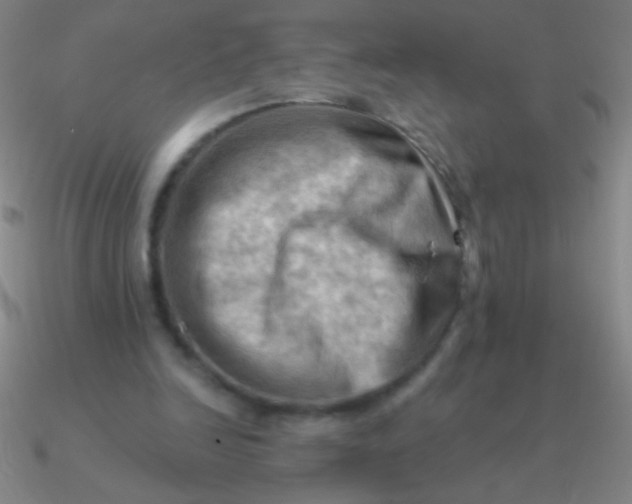 X0000090630246200708071251