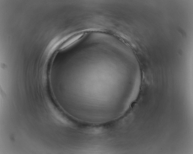 X0000090630247200708071251