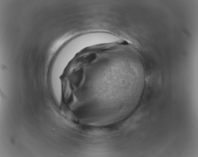 X0000090630248200708071251