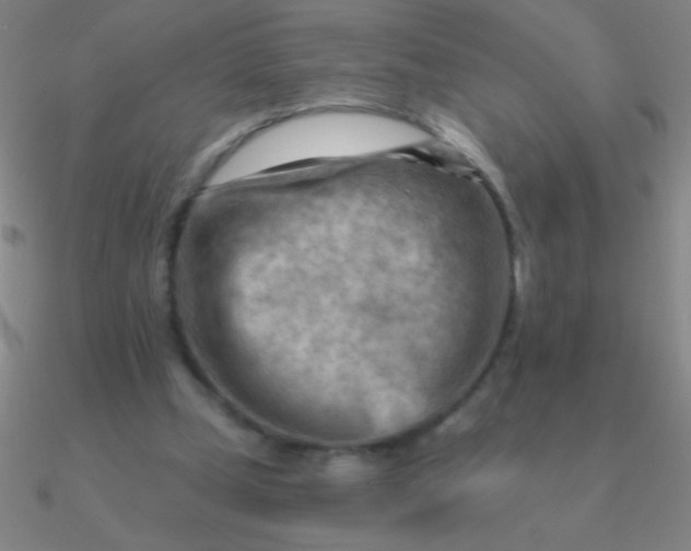 X0000090630249200708071251