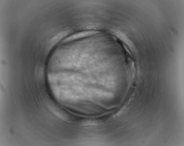 X0000090630250200708071251