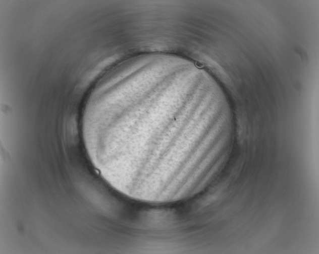 X0000090630251200708071251