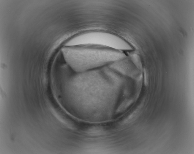 X0000090630252200708071252