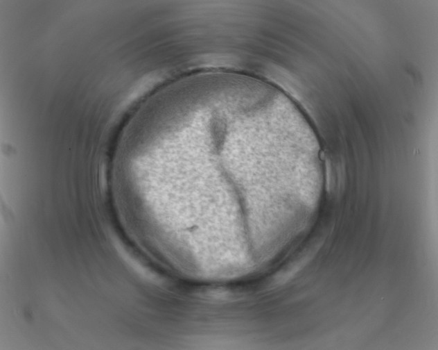 X0000090630253200708071252