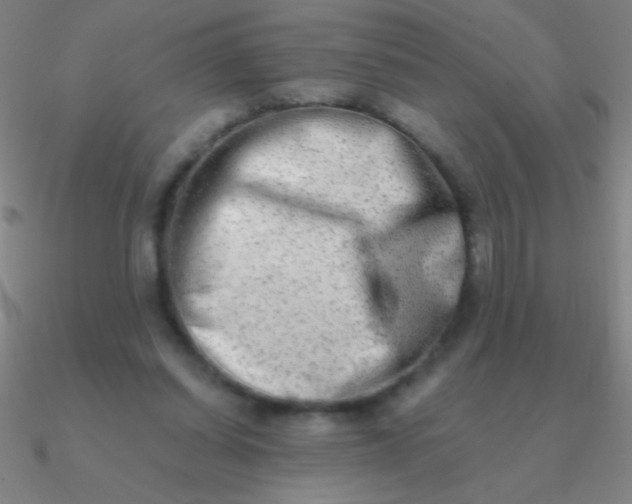 X0000090630254200708071252