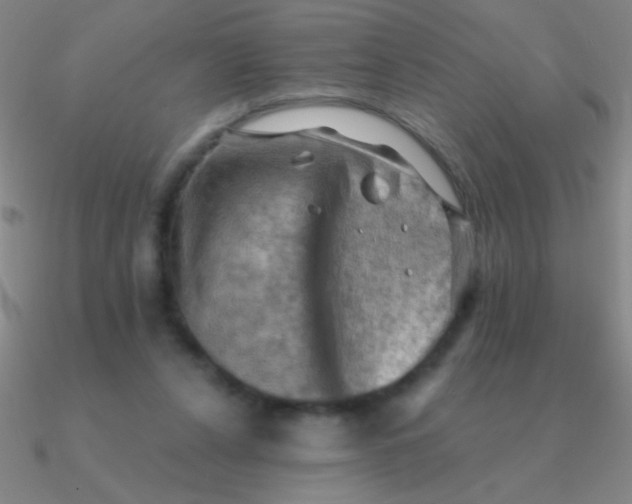 X0000090630256200708071252