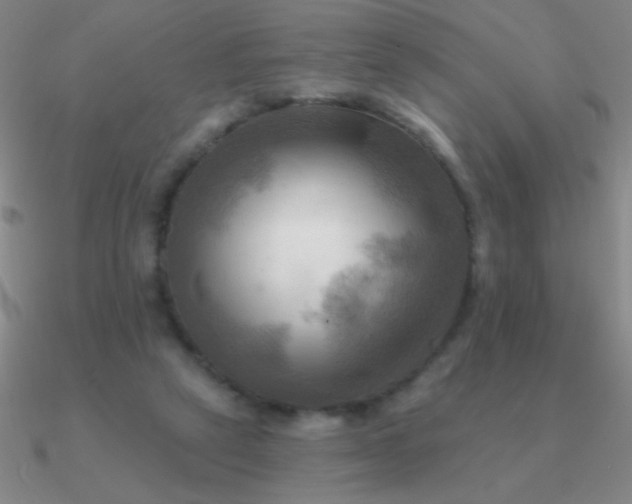 X0000090630257200708071252