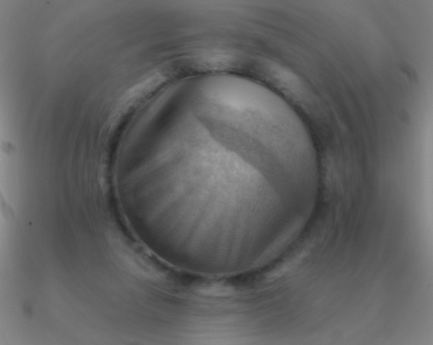 X0000090630258200708071252