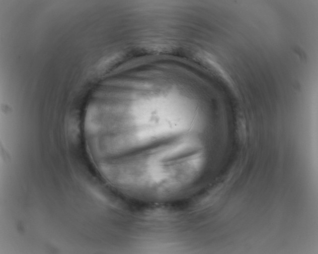 X0000090630259200708071252