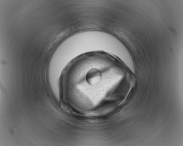 X0000090630260200708071252