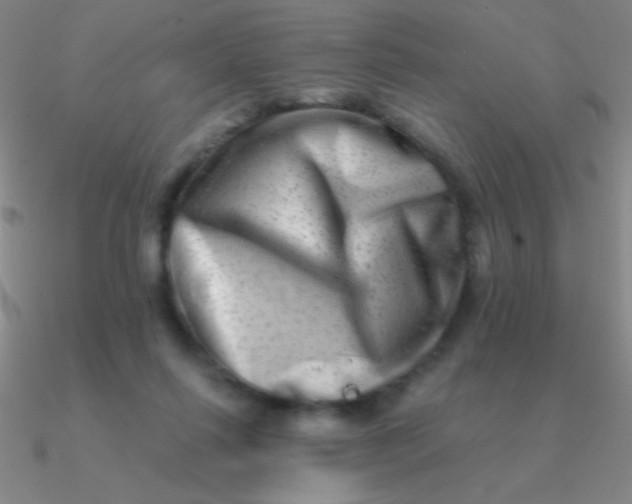 X0000090630262200708071252