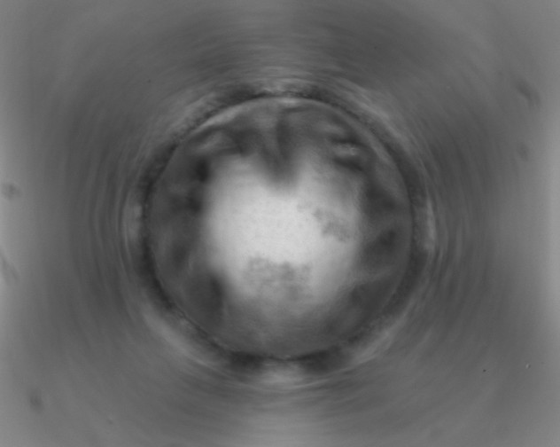 X0000090630263200708071252