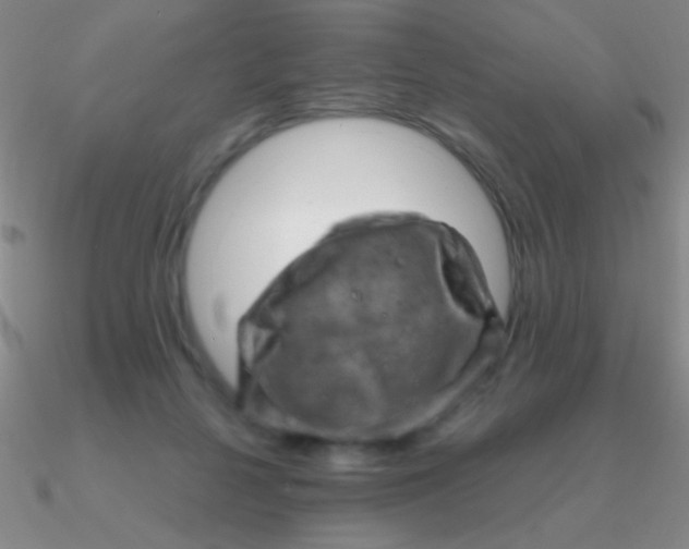 X0000090630264200708071252