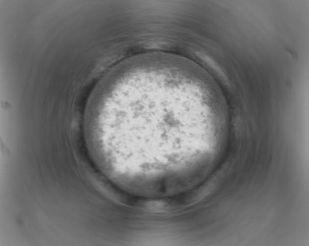 X0000090630265200708071252