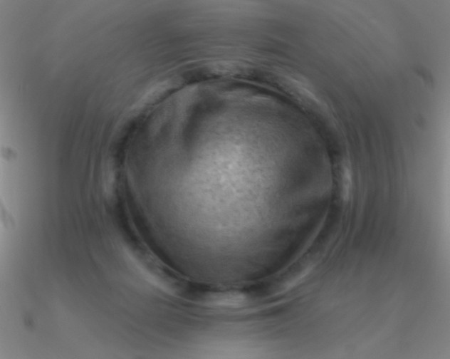 X0000090630266200708071252