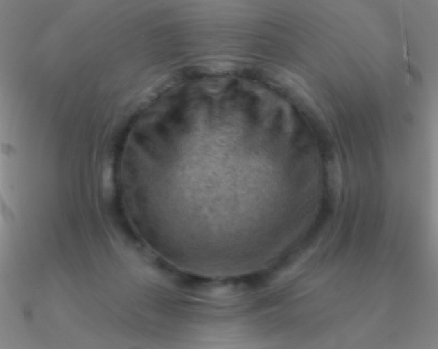 X0000090630267200708071252